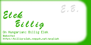 elek billig business card